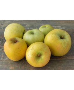Pommes Golden petite (1 kg...