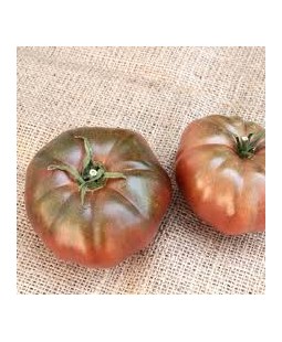 Tomate Noire de Crimée (1...